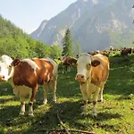 Zum Loewen 3* Sankt Jakob im Lesachtal