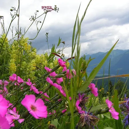 Zum Loewen Sankt Jakob im Lesachtal