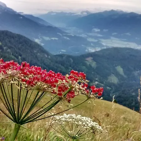 Zum Loewen Penzion 3*