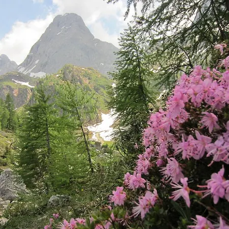 Zum Loewen Penzion Sankt Jakob im Lesachtal