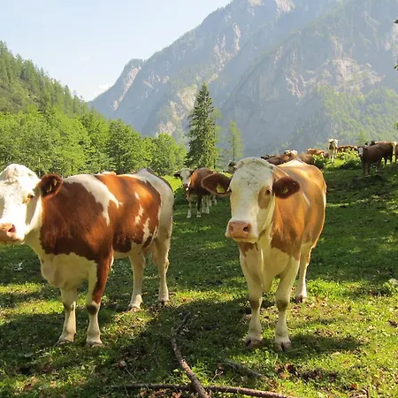Zum Löwen 3* Sankt Jakob im Lesachtal