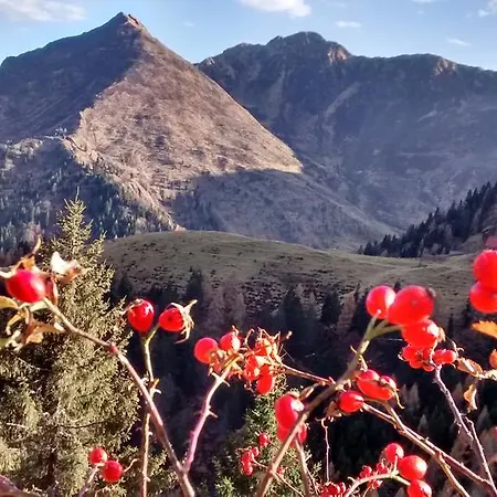 Zum Loewen Penzion 3*