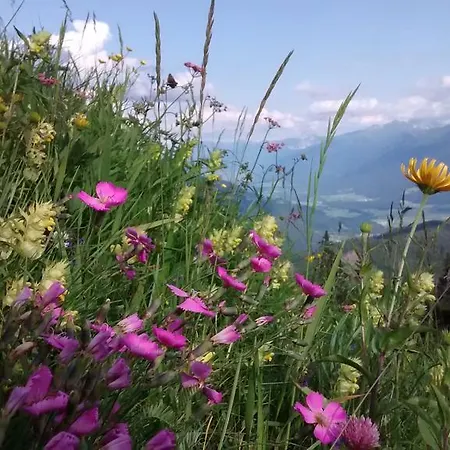 Penzion Zum Loewen Sankt Jakob im Lesachtal