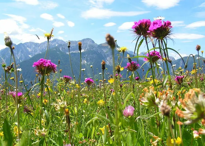 Zum Loewen Herberg Sankt Jakob im Lesachtal
