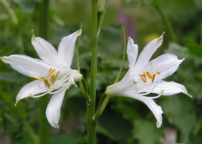 Zum Loewen Herberg Sankt Jakob im Lesachtal