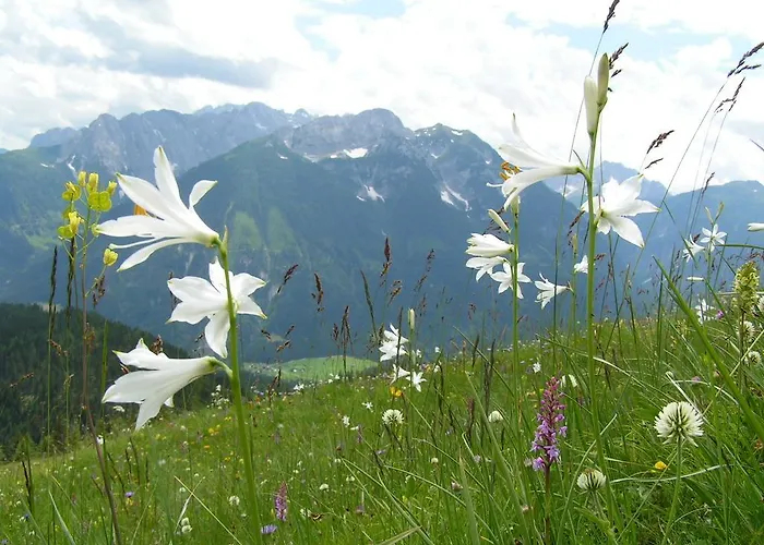 Herberg Zum Loewen Sankt Jakob im Lesachtal
