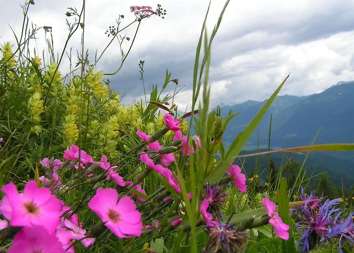 Zum Loewen Sankt Jakob im Lesachtal
