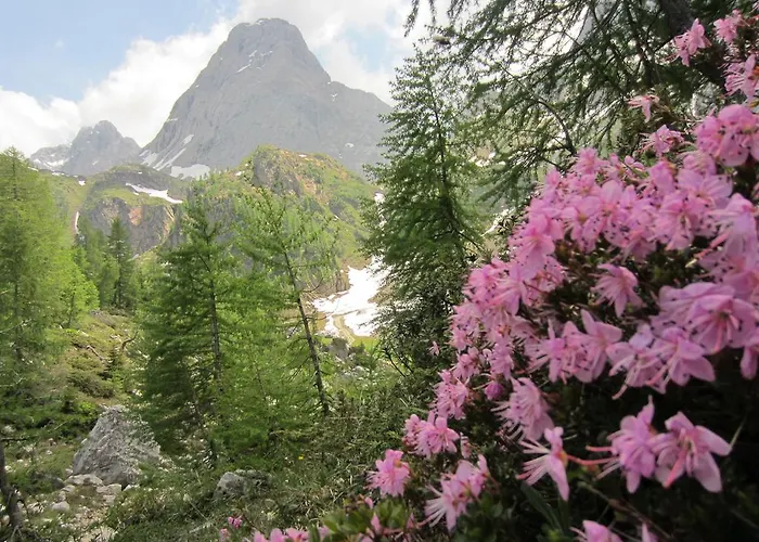 Zum Loewen Herberg Sankt Jakob im Lesachtal