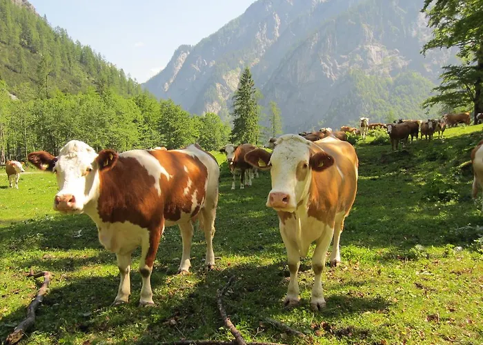 Zum Loewen 3* Sankt Jakob im Lesachtal