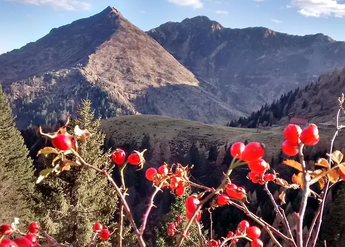 Zum Loewen Herberg 3*