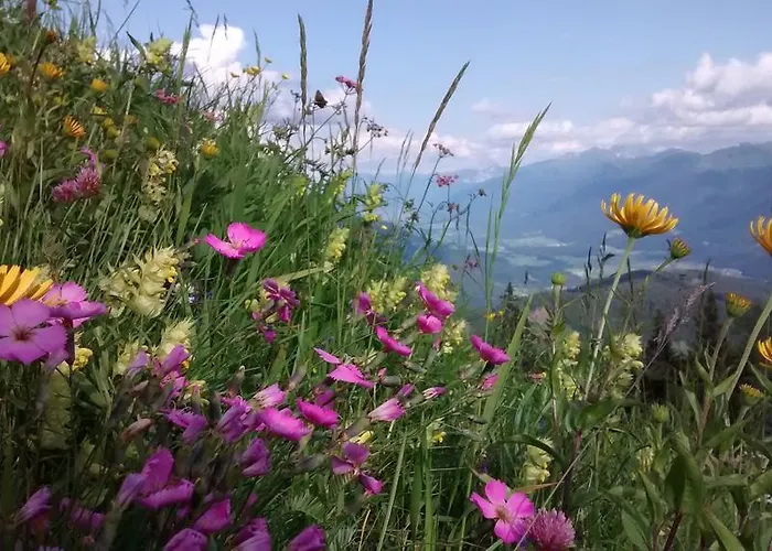 Herberg Zum Loewen Sankt Jakob im Lesachtal