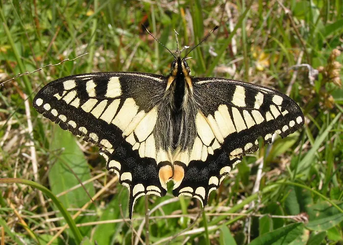 Zum Loewen Herberg Sankt Jakob im Lesachtal